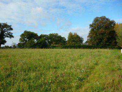 Terrain constructible MALANSAC - 1271,00 m2