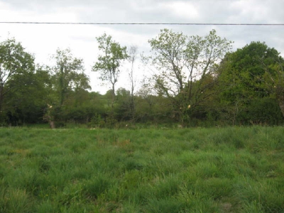 Terrain constructible NOYAL MUZILLAC - 650,00 m2