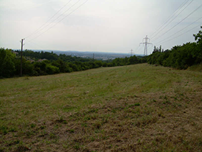 TERRAIN A BATIR VIEILLE TOULOUSE - 2276 m2