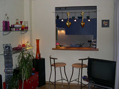 APPARTEMENT TOULOUSE - 2 pieces - 60 m2