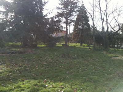 TERRAIN A BATIR TOULOUSE - 342 m2