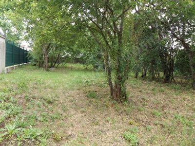 Terrain Muret 645m2 - 31600