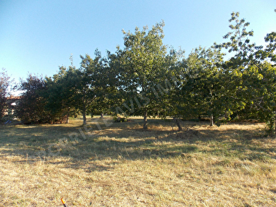 TERRAIN VIABILISE 1253M2 - 5 MINUTES DE MURET- 31600
