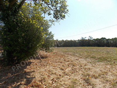 TERRAIN CONTRUCTIBLE 945 M2 - MURET- 31600
