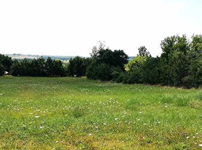 A VENDRE - TEULAT - Terrain de 800m2