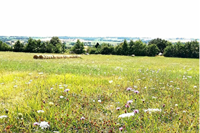 A VENDRE - TEULAT - Terrain de 1000m2