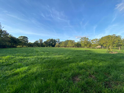 A VENDRE - Plaisance du Touch - Terrain de 706m2 viabilise