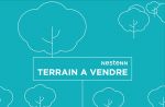 37300 JOUE LES TOURS - Terrain 2