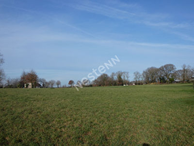 Terrain Noyal Muzillac 2806 m2
