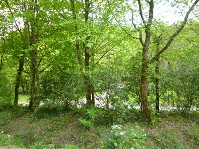 Terrain Nantes 249 m2