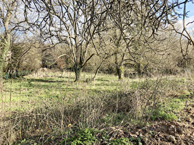 Terrain 2900 m2 La Roche Sur Yon Sud
