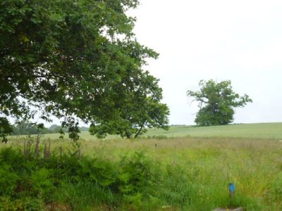 Beau Terrain en campagne !