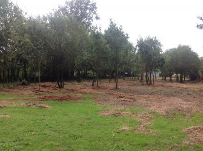 tres beau terrain peaule