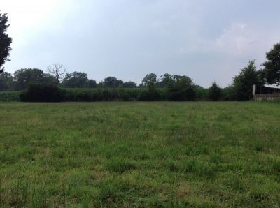 Terrain Peaule 1245 m2