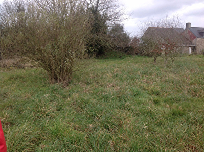 Terrain a batir 1500 m2, avec dependance 300m2 de stockage
