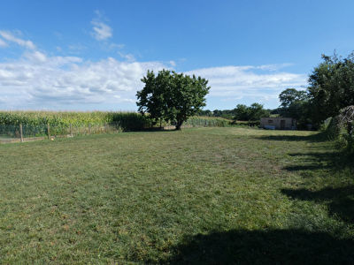 Terrain Peaule 1194 m2