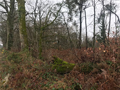 Terrain boise Pluherlin 6 430 m2