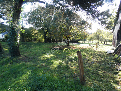 Terrain Peaule 3240 m2