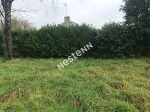 56140 BOHAL - Terrain 3