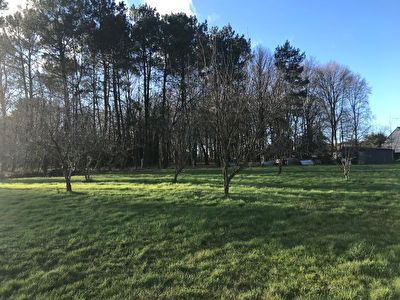 Terrain Questembert, plus de 2000 m2 constructible !!