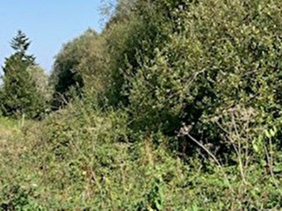 Terrain 1500 m2