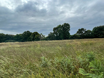 Terrain pour lotisseur, investisseur ou amenageur foncier, 9100 m2 14 lots mini, bourg a pieds