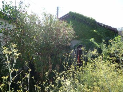 MAISON BORDEAUX - 3 pieces - 47,29 m2