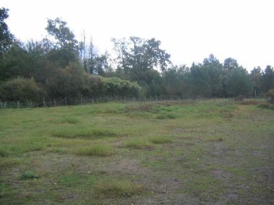 PESSAC - 2100 m2