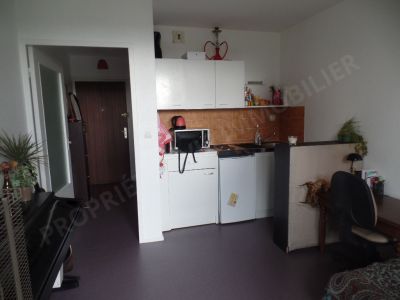Appartement 1 piece 20 m2 balcon parking couvert