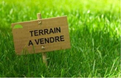 Arzon Bourg!!
