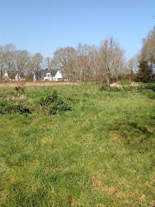 SAINT GILDAS DE RHUYS campagne