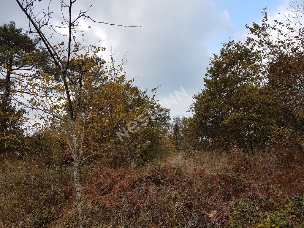 photos n°1 Terrain NON CONSTRUCTIBLE LE LOGEO