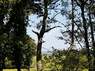 Terrain constructible Sarzeau GOLFE