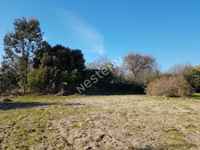 Terrain Sarzeau 1000 m2, LANDREZAC, a 700m de la plage !