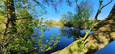 Dans le parc de Briere un joli terrain de loisir clos et arbore avec un chalet bois et une levee