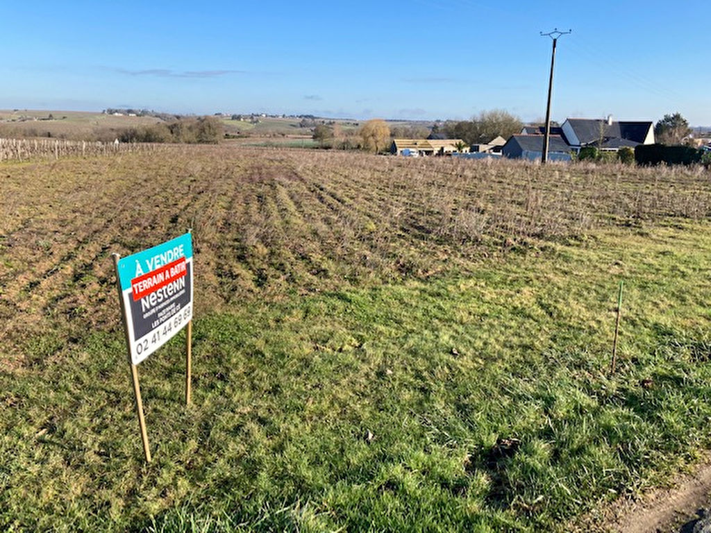 photos n°1 Terrain constructible à vendre 30 minutes Angers Sud -1 043 m² non viabilisé