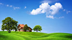 45160 OLIVET - Terrain