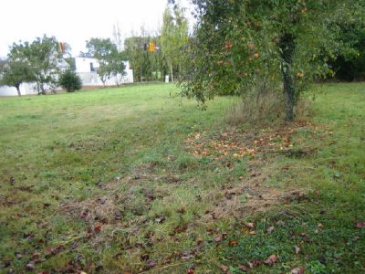 TERRAIN CONSTRUCTIBLE QUINTENIC - 900 m2