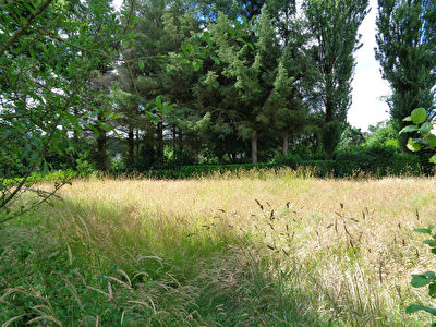 Terrain Plaintel 3482 m2