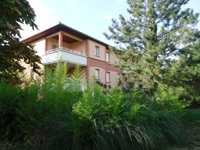 TOURNEFEUILLE appartement T2 A VENDRE