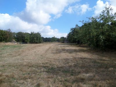 Terrain a batir de 1000 m2 a Guillac (56800)