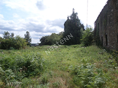 Terrain de 932 m2 avec batisse en pierre a Taupont (56800)