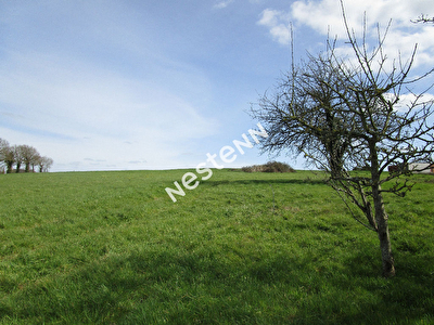 Terrain a batir de 1430 m2 a Loyat (56800)