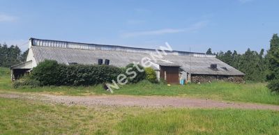 Deux hangars sur 13 000 m2 de terrain a Mauron (56430)