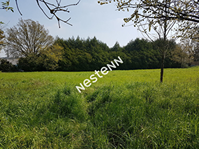 Terrain a batir de 1 004 m2 a Ploermel (56800)