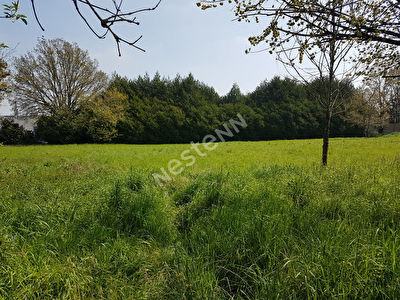 Terrain a batir de 502 m2 a Ploermel (56800)