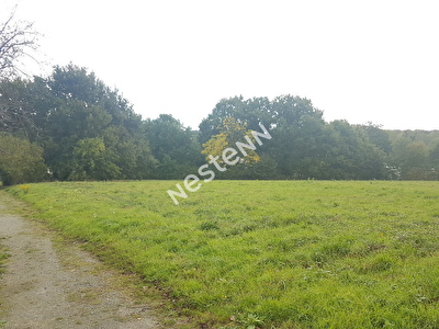 Terrain a batir a Loyat (56800)