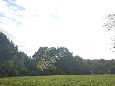 Terrain a batir de 1380 m2 a Loyat (56800)