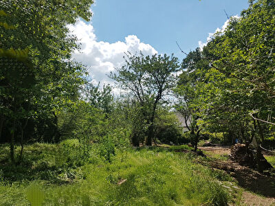 Terrain a batir de 2100 m2 a Loyat (56800)