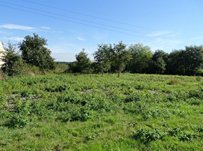 Terrain proximite Carquefou de 884 m2
